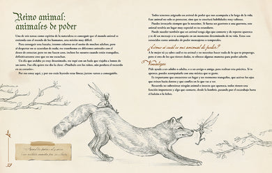 Magia. Tu cuaderno secreto / Magic. Your Secret Notebook interior 2 (ISBN 9788419982469) [onix:3a6d50bde7806e7d87ca2fcbf25184f1]