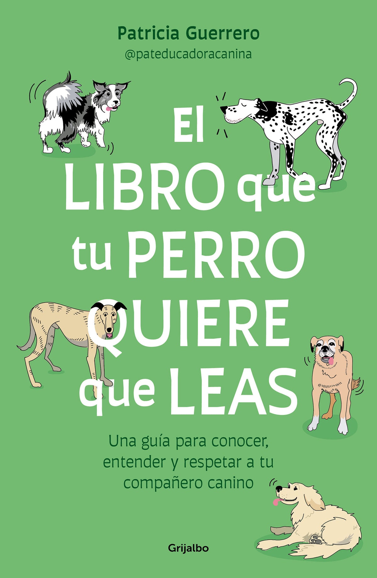 El libro que tu perro quiere que leas : Una guía para conocer, entender y respetar a tu compañero canino / The Book Your Dog Wants You to Read cover (ISBN 9788425366154) [onix:c188c0c2bdaaab7139af834155e54359]