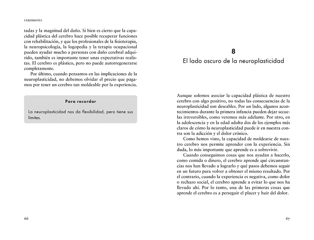 Cerebrotes: Cultiva y moldea tu cerebro gracias a la neuroplasticidad / Brainiac interior 2 (ISBN 9788419965011) [onix:6c1e501676f80d30a1d246bd2f119838]