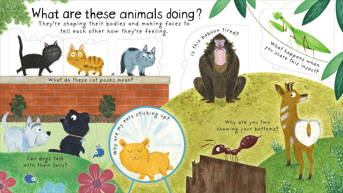 First Questions and Answers: How Do Animals Talk? interior 1 (ISBN 9781474940085) [onix-asset:3904f7931b424482104ba49f7b7ef4d7f2f3183621a7ff3a06f3d424a4f548cd]