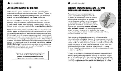 Grandes enigmas de los animales / Great Mysteries of the Animal Kingdom interior 4 (ISBN 9788427253698) [onix:488ae263c18569013d985815ae97d446]