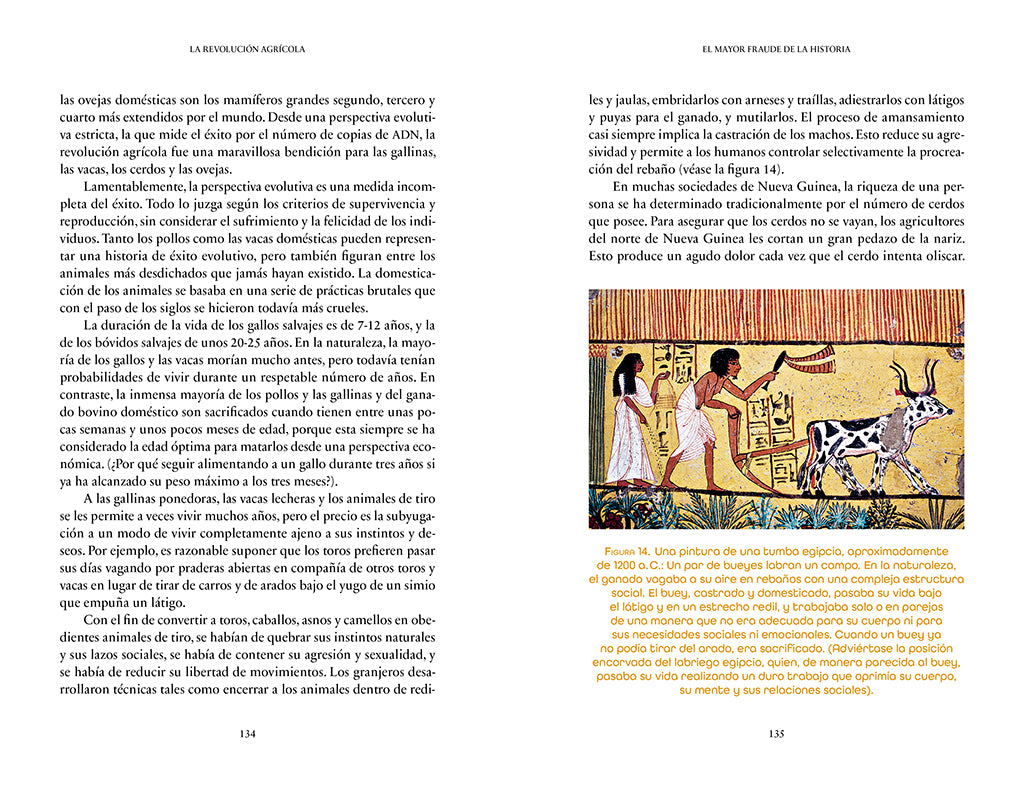 Sapiens. De animales a dioses (Edición especial 10º aniversario) / Sapiens: A Brief History of Humankind interior 7 (ISBN 9788419399717) [onix:b9db4869da8aea8a656c987bc5c6e43f]