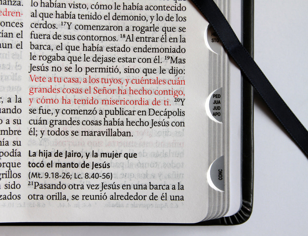 Biblia RVR 1960 Letra grande León de Judá edición especial plata con índice y canto negro / Spanish Bible RVR 1960 Large Print Imitation Leather Lion of J interior 7 (ISBN 9798890985668) [onix:01898b7a8825493ab6231fce538a7777]