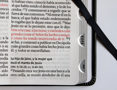 Biblia RVR 1960 Letra grande León de Judá edición especial plata con índice y canto negro / Spanish Bible RVR 1960 Large Print Imitation Leather Lion of J interior 7 (ISBN 9798890985668) [onix:01898b7a8825493ab6231fce538a7777]