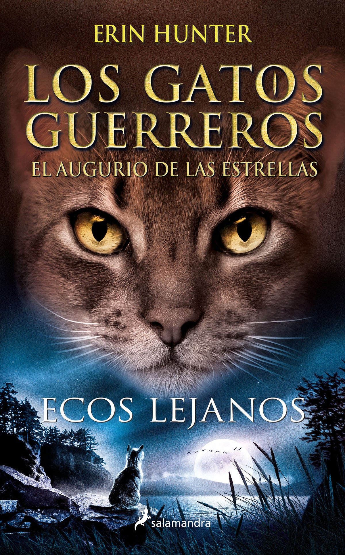 Ecos lejanos / Fading Echoes cover (ISBN 9788418637919) [onix:dcfb22a2d39b31a887078212df71e1bb]