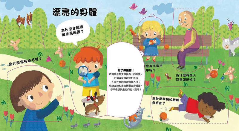 好想知道身體裡的事！-Children’s / Teenage general interest: General knowledge and interesting facts-買書書 BuyBookBook