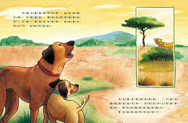 愛的故事‧知識繪本2：讓我們守護你