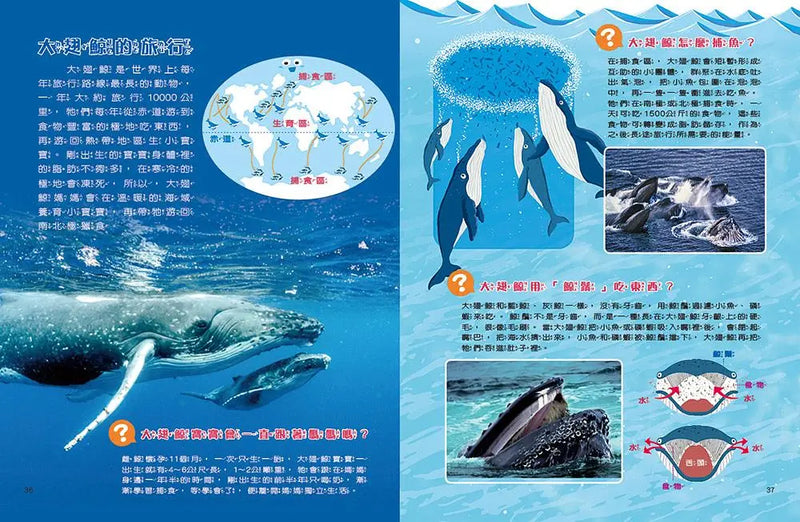 愛的故事‧知識繪本6：我們救了一頭大翅鯨