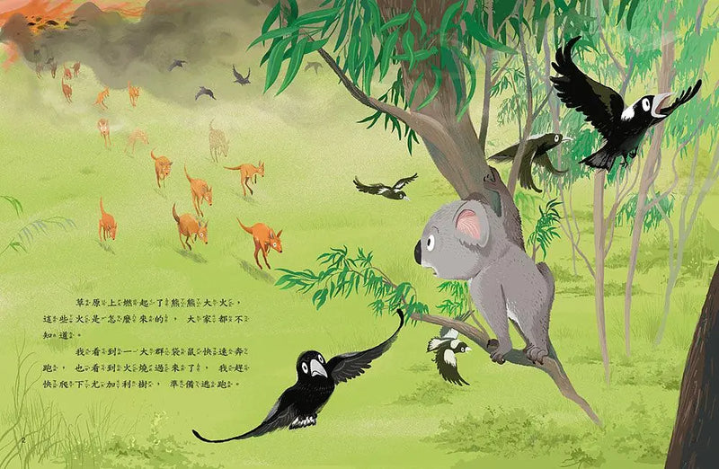 愛的故事‧知識繪本8：對你說一百次謝謝