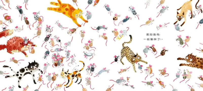 收集貓咪-Children’s picture books-買書書 BuyBookBook