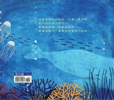 海龜與海