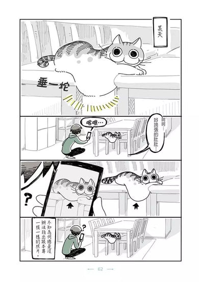 今晚有貓伴身邊(1) (咕嚕Z)-Graphic novels/ Comic books/ Manga/ Cartoons-買書書 BuyBookBook