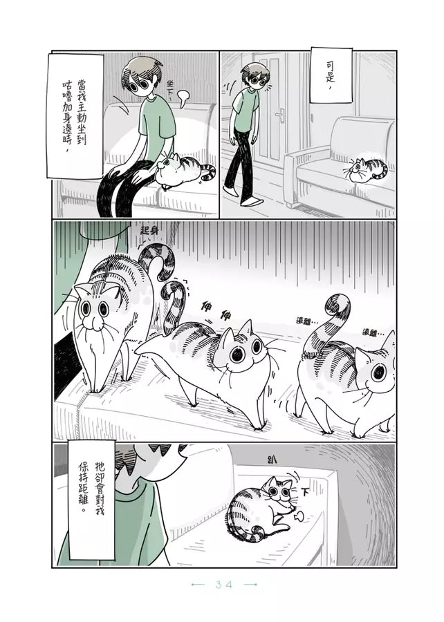 今晚有貓伴身邊(2) (咕嚕Z)-Graphic novels/ Comic books/ Manga/ Cartoons-買書書 BuyBookBook