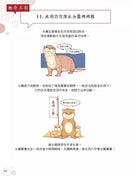 漫畫科普冷知識王4：世界其實很有哏，生活可以多點彈性！-Children’s / Teenage general interest: General knowledge and interesting facts-買書書 BuyBookBook