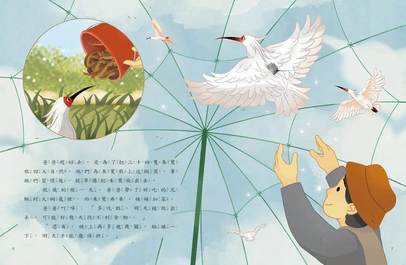愛的故事‧知識繪本12：尋找朱鷺五萬里