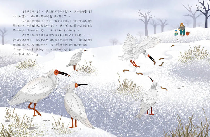 愛的故事‧知識繪本12：尋找朱鷺五萬里