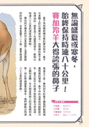 奇妙卻很實用！動物演化知識小百科 (今泉忠明)-Children’s / Teenage general interest: Nature and animals-買書書 BuyBookBook