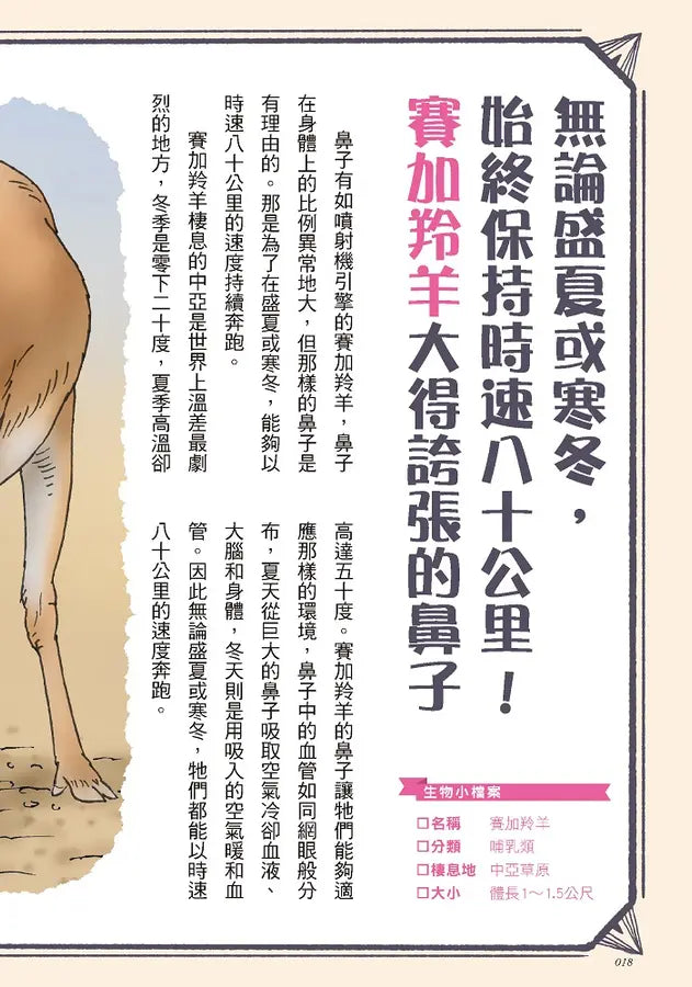 奇妙卻很實用！動物演化知識小百科 (今泉忠明)-Children’s / Teenage general interest: Nature and animals-買書書 BuyBookBook