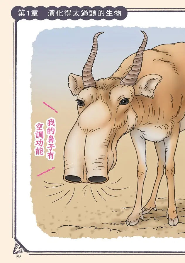 奇妙卻很實用！動物演化知識小百科 (今泉忠明)-Children’s / Teenage general interest: Nature and animals-買書書 BuyBookBook