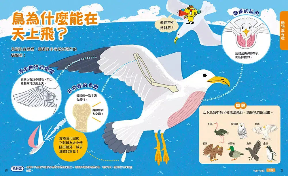 準備上學嘍！5.有趣圖解自然課-非故事: 常識通識 General Knowledge-買書書 BuyBookBook