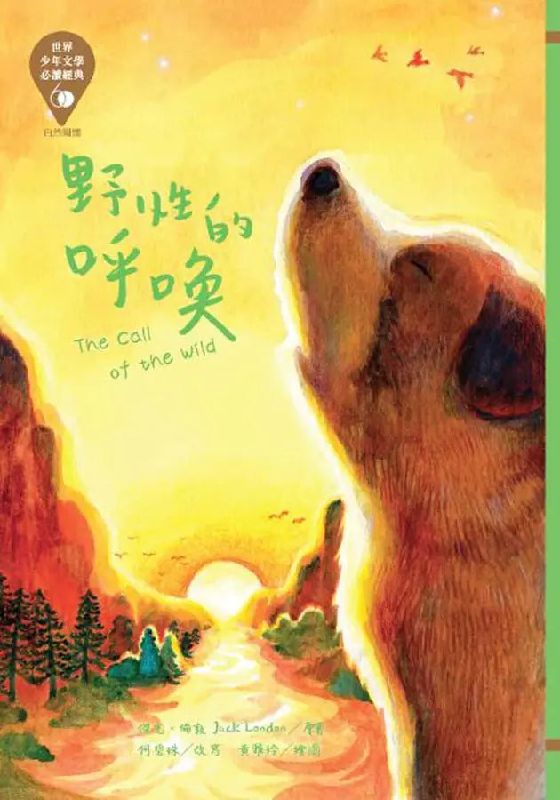 世界少年文學必讀經典60：自然關懷精選(六冊)-Children’s / Teenage fiction: Classic and traditional-買書書 BuyBookBook