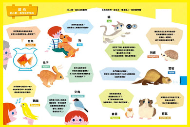 原來動物是這樣子啊！