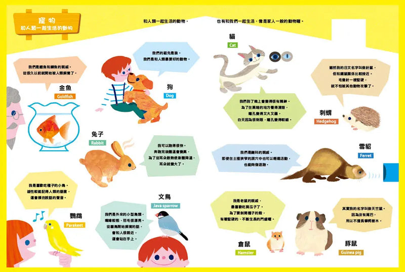 原來動物是這樣子啊！