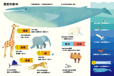 原來動物是這樣子啊！