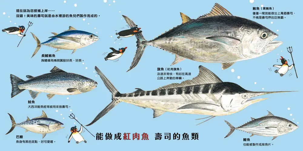 壽司捏好了！