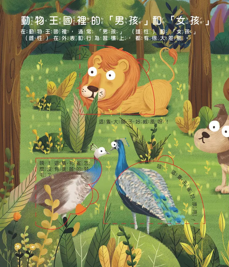 男孩？女孩？翻翻書