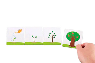 順序圖卡：FOOD超人腦力開發圖卡教具*新版*-Children’s / Teenage general interest: Hobbies/ quizzes/ toys and games-買書書 BuyBookBook