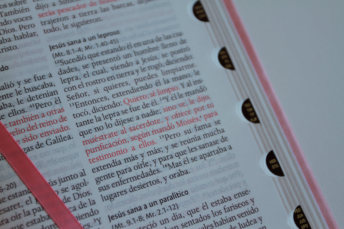 Biblia RVR 1960 letra grande tamaño manual, Piel rosada con índice / Spanish Bible RVR 1960 Handy Size Large Print Leathersoft pink with index interior 5 (ISBN 9798890982131) [onix:18a0cd251a2022c5a2a4c4da1564a6ab]