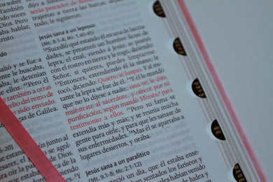 Biblia RVR 1960 letra grande tamaño manual, Piel rosada con índice / Spanish Bible RVR 1960 Handy Size Large Print Leathersoft pink with index interior 5 (ISBN 9798890982131) [onix:18a0cd251a2022c5a2a4c4da1564a6ab]