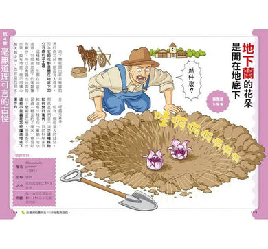 好奇孩子大探索：真的假的？原來植物這麼妙-非故事: 參考百科 Reference & Encyclopedia-買書書 BuyBookBook