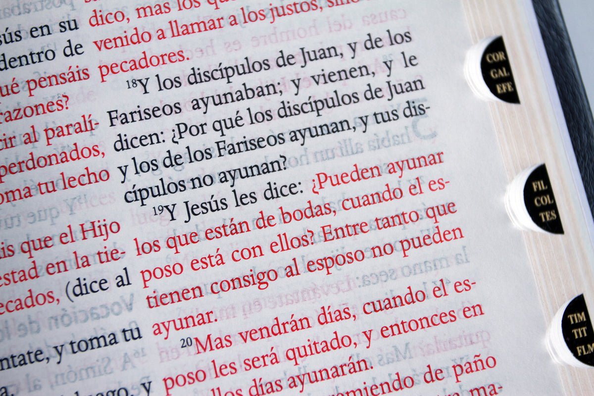 Biblia Reina Valera letra gigante, símil piel negro con índice / Spanish Bible Reina Valera Giant Print, Black Leathersoft with Index interior 6 (ISBN 9798890985576) [onix:b9759883e1278905a5107a560d579916]