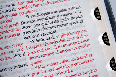 Biblia Reina Valera letra gigante, símil piel negro con índice / Spanish Bible Reina Valera Giant Print, Black Leathersoft with Index interior 6 (ISBN 9798890985576) [onix:b9759883e1278905a5107a560d579916]
