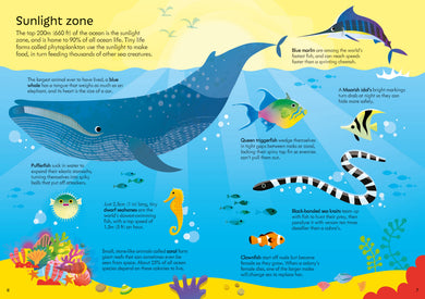 Usborne Book and Jigsaw Oceans interior 1 (ISBN 9781805077954) [onix-asset:020aa42ca59cbe705f4087bfe0f8e920724b5bd7f320c21ec38f3e72293a9cda]