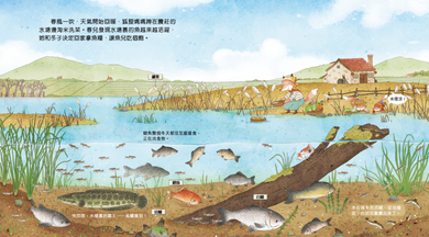 給孩子的二十四節氣繪本套裝（一套4冊）