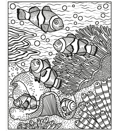 Coral Reef Magic Painting Book interior 1 (ISBN 9781474994743) [onix-asset:584c5638de031e7df0dcffa06c8897751e07345c1e135887a8adedc853b2fa7e]