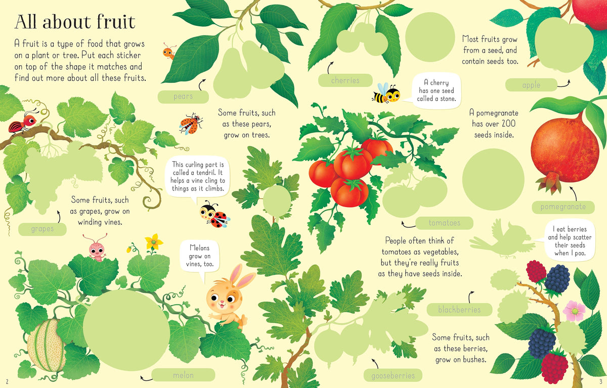 First Sticker Book Fruit and Vegetables interior 1 (ISBN 9781474922197) [onix-asset:2dd4b9e6c25dbcddce8de8fab00d17a216db7d9dadf60a7fd2c43dad74778169]