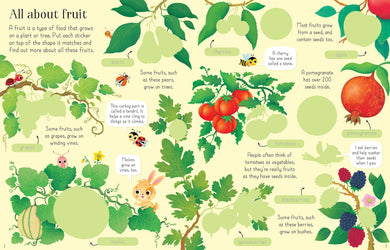 First Sticker Book Fruit and Vegetables interior 1 (ISBN 9781474922197) [onix-asset:2dd4b9e6c25dbcddce8de8fab00d17a216db7d9dadf60a7fd2c43dad74778169]