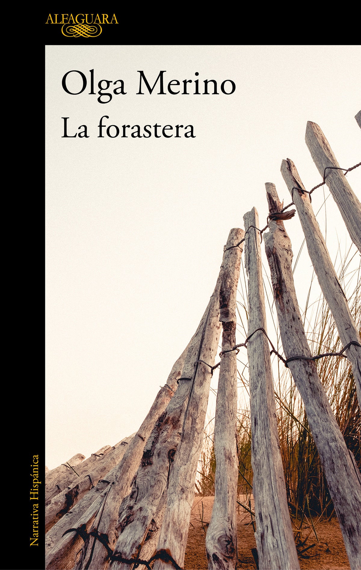 La forastera / The Stranger cover (ISBN 9788420438450) [onix:30c0000ae9dbfd33d19c0f1f57c12c63]