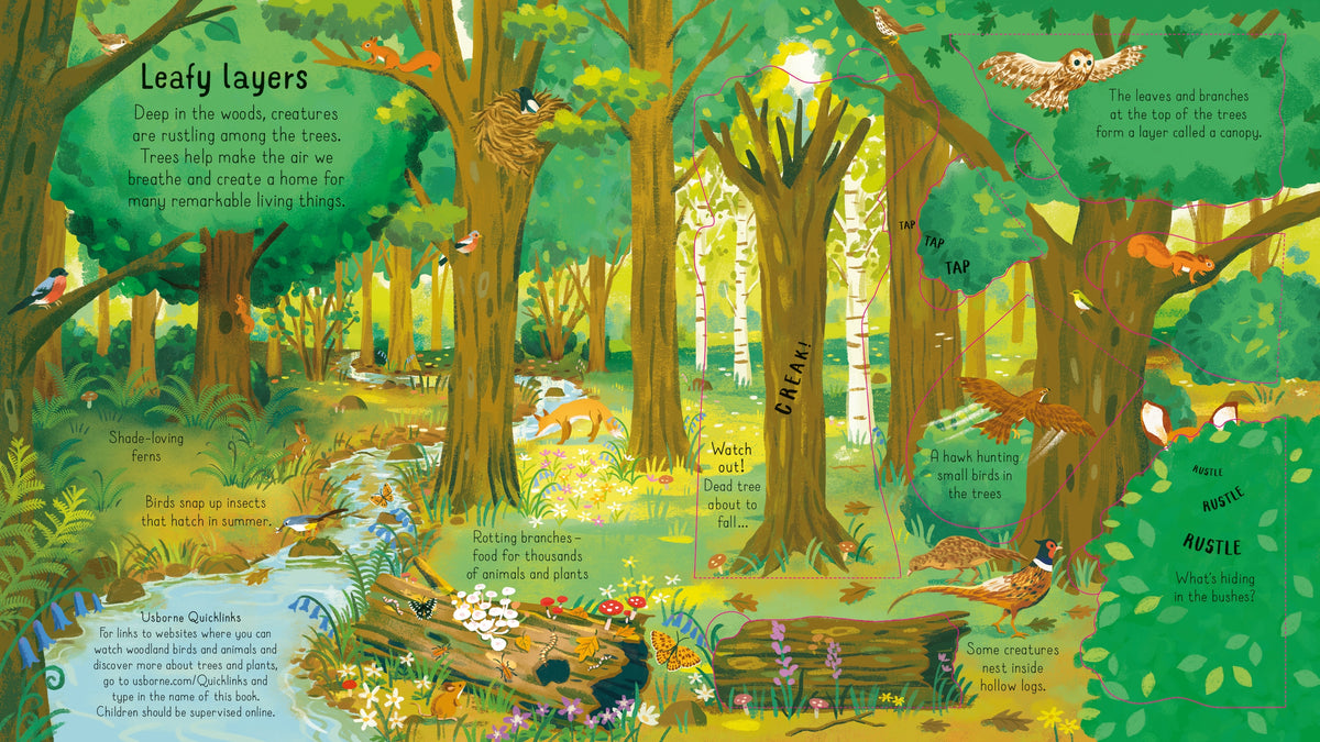 Look Inside the Woods interior 1 (ISBN 9781474968881) [onix-asset:e6b3e7fcb36d59c50aaa0aa64b224042d46c13ce430c0e15e5806eca3f481e7d]