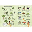 24小時大發現 - 回到石器時代-非故事: 歷史戰爭 History & War-買書書 BuyBookBook