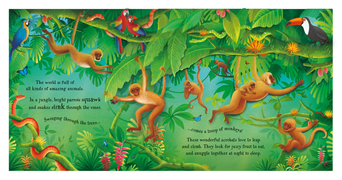 Pop-up Animals interior 1 (ISBN 9781474968027) [onix-asset:f25d260d57992219a78834e4efc495e444ef6b9babc95788ffc1048ee16197c9]
