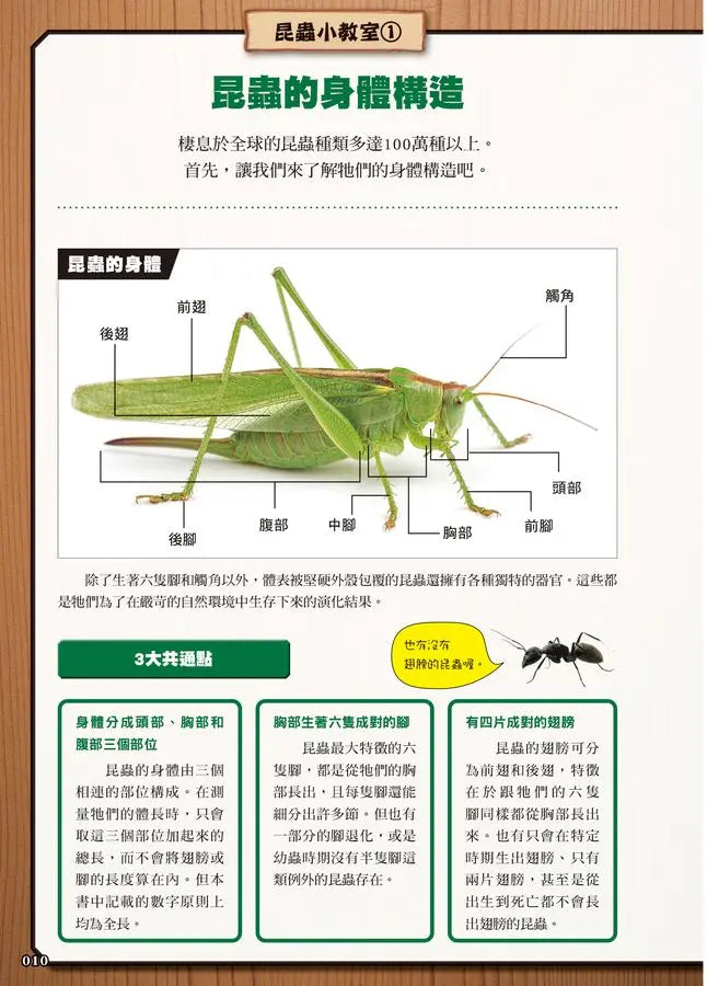 最強戰鬥5 超酷昆蟲 最強王者大戰圖鑑 (小野展嗣)-Children’s / Teenage general interest: Nature and animals-買書書 BuyBookBook