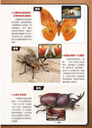 最強戰鬥5 超酷昆蟲 最強王者大戰圖鑑 (小野展嗣)-Children’s / Teenage general interest: Nature and animals-買書書 BuyBookBook