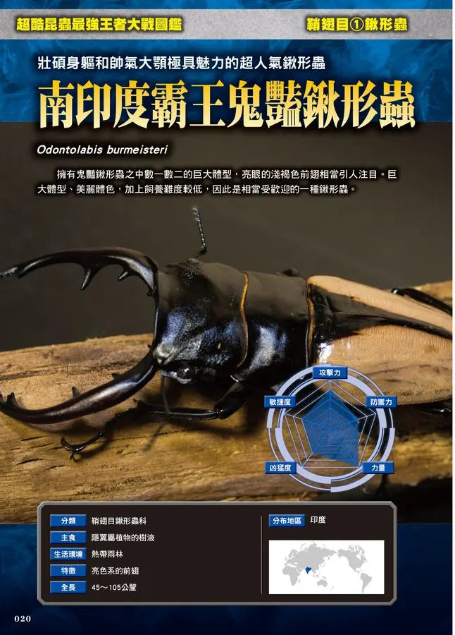 最強戰鬥5 超酷昆蟲 最強王者大戰圖鑑 (小野展嗣)-Children’s / Teenage general interest: Nature and animals-買書書 BuyBookBook