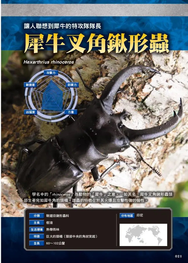最強戰鬥5 超酷昆蟲 最強王者大戰圖鑑 (小野展嗣)-Children’s / Teenage general interest: Nature and animals-買書書 BuyBookBook