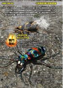 最強戰鬥5 超酷昆蟲 最強王者大戰圖鑑 (小野展嗣)-Children’s / Teenage general interest: Nature and animals-買書書 BuyBookBook